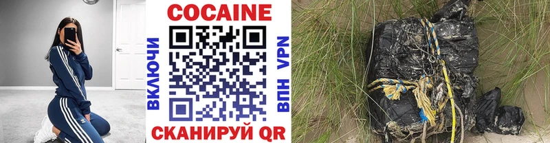Купить закладки  Киселёвск  Кокаин 99% 