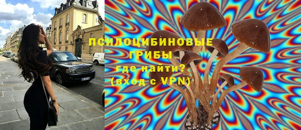 метадон Гусь-Хрустальный