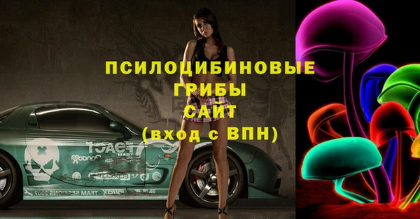 метадон Гусь-Хрустальный