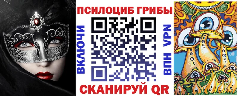 Псилоцибиновые грибы Magic Shrooms  Купить закладки  Киселёвск 